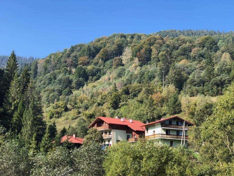 Лісова Казка Hotell Slavskoje Eksteriør bilde